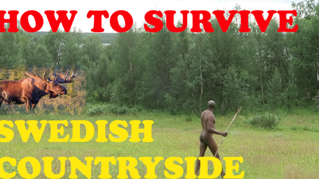 HOW TO SURVIVE THE SWEDISH COUTRYSIDE