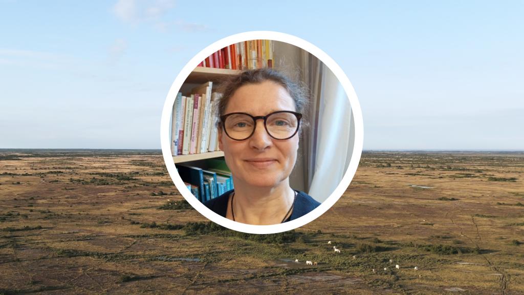 Ef997ae2 f3b2 43af bf9f 0562efd710e5