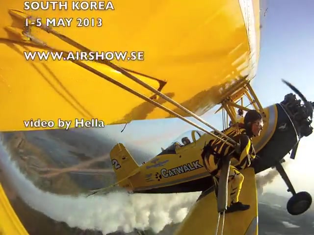 Scandinavian Airshow in South Korea 2013