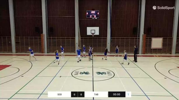 Seals Basket - Tarmo/09 blue