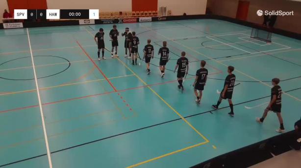 SPV - Hawks