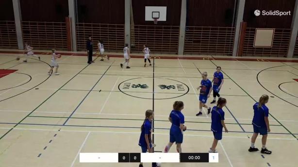 Tarmo/09 blue - Seals Basket