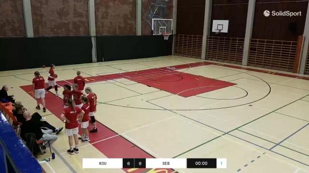 Kouvot 2009 - Seals Basket