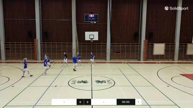 Seals Basket - Honka
