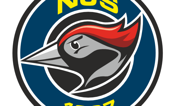 NJS P-09 - NoPS P-09