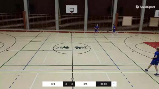 Kouvot 2008 - Seals Basket