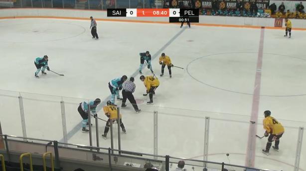 SaiPa - Pelicans
