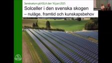 Solceller i den svenska skogen 16 juni 2025