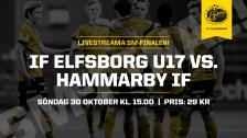 SM–final U17: IF Elfsborg – Hammarby IF