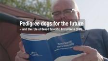 Pedigree dogs for the future – and the role of Breed Specific Intructions (BSI)