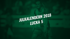 Julkalendern 2018 - Lucka 5