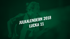 Julkalendern 2018 - Lucka 11