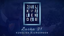 Kotschacks Julkalender lucka 21 - Kungliga Djurgården