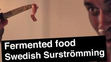 WORLDS WORST FISH SURSTRÖMMING