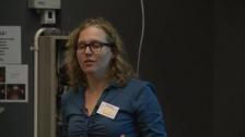 Marta Sznajder: Inductive logic on conceptual spaces: a proposal for analogical reasoning