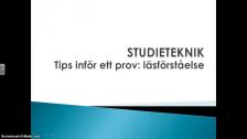 Tips inför prov: läsförståelse (arabiska)