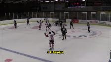 Highlights Vimmerby Hockey vs. Nybro Vikings 4-3 e.str. (träningsmatch)